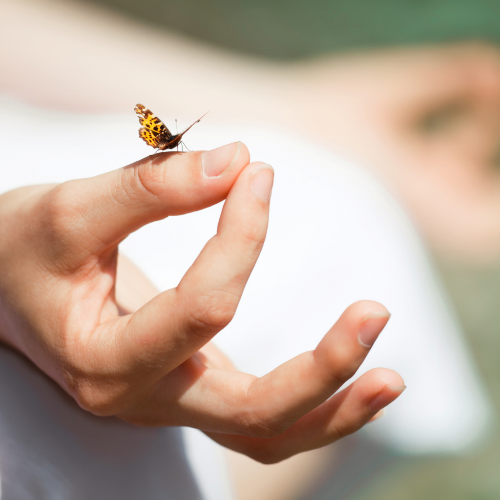 mariposa en mano